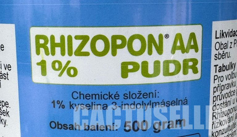 Rhizopon 1%: A Reliable Aid for Cactus Rooting
