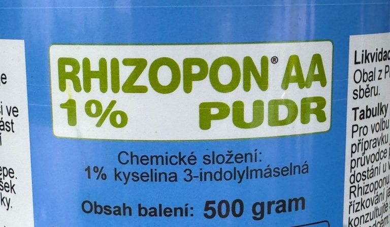Rhizopon 1%: A Reliable Aid for Cactus Rooting