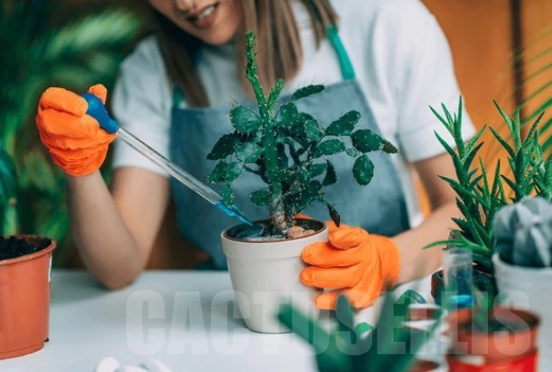 🌱 The Danger of Overusing Pesticides and Fertilizers: Why “More” Doesn’t Mean “Better”