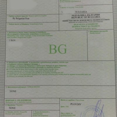 Phytosanitary certificate