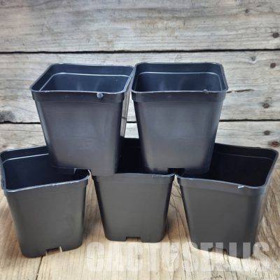 PT 02 Комплект от 5 саксии 7x7x7,5cm
