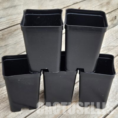 PT 03 Комплект от 5 саксии 7x7x10cm