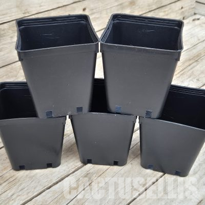PT 04 Комплект от 5 саксии 9x9x10cm